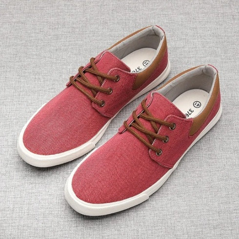Men's Lace-Up Canvas Shoes Soft Sole Casual Shoes